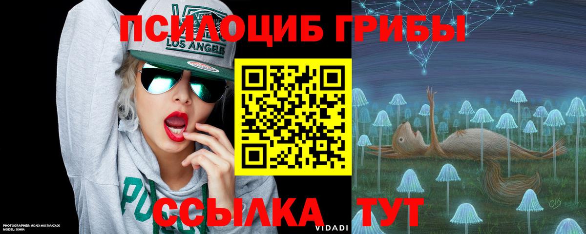 Псилоцибиновые грибы MAGIC MUSHROOMS  Вход с VPN  Бузулук  Галлюциногенные грибы Psilocybine cubensis 